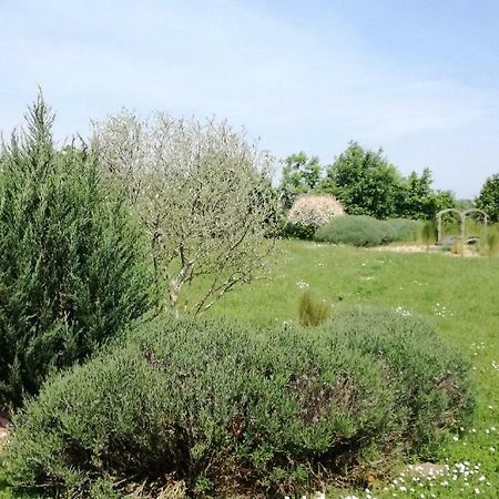 Le Grand Paradis Morannes sur Sarthe-Daumeray Bagian luar foto