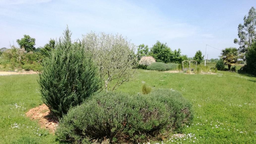 Le Grand Paradis Morannes sur Sarthe-Daumeray Bagian luar foto